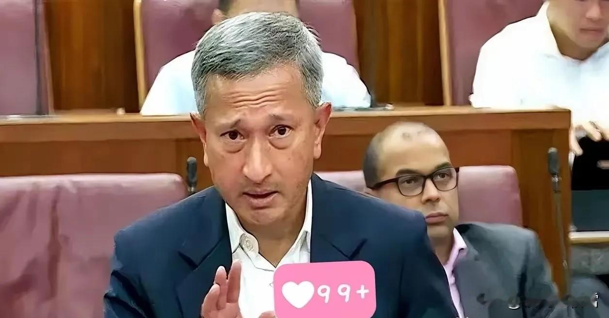 新加坡急了。在东盟的会上，外长几乎是拍着桌子，让中国“尊重”马六甲的地位。翻