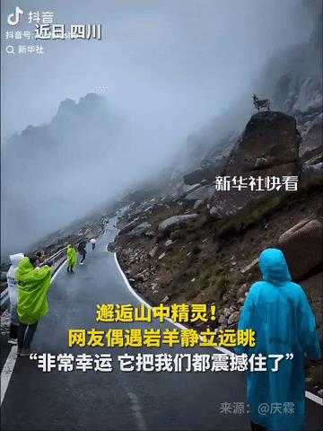 彻底解释不清了！连新华社都忍不住转发了。四川，网友在莲宝叶则的山路中徒步，竟