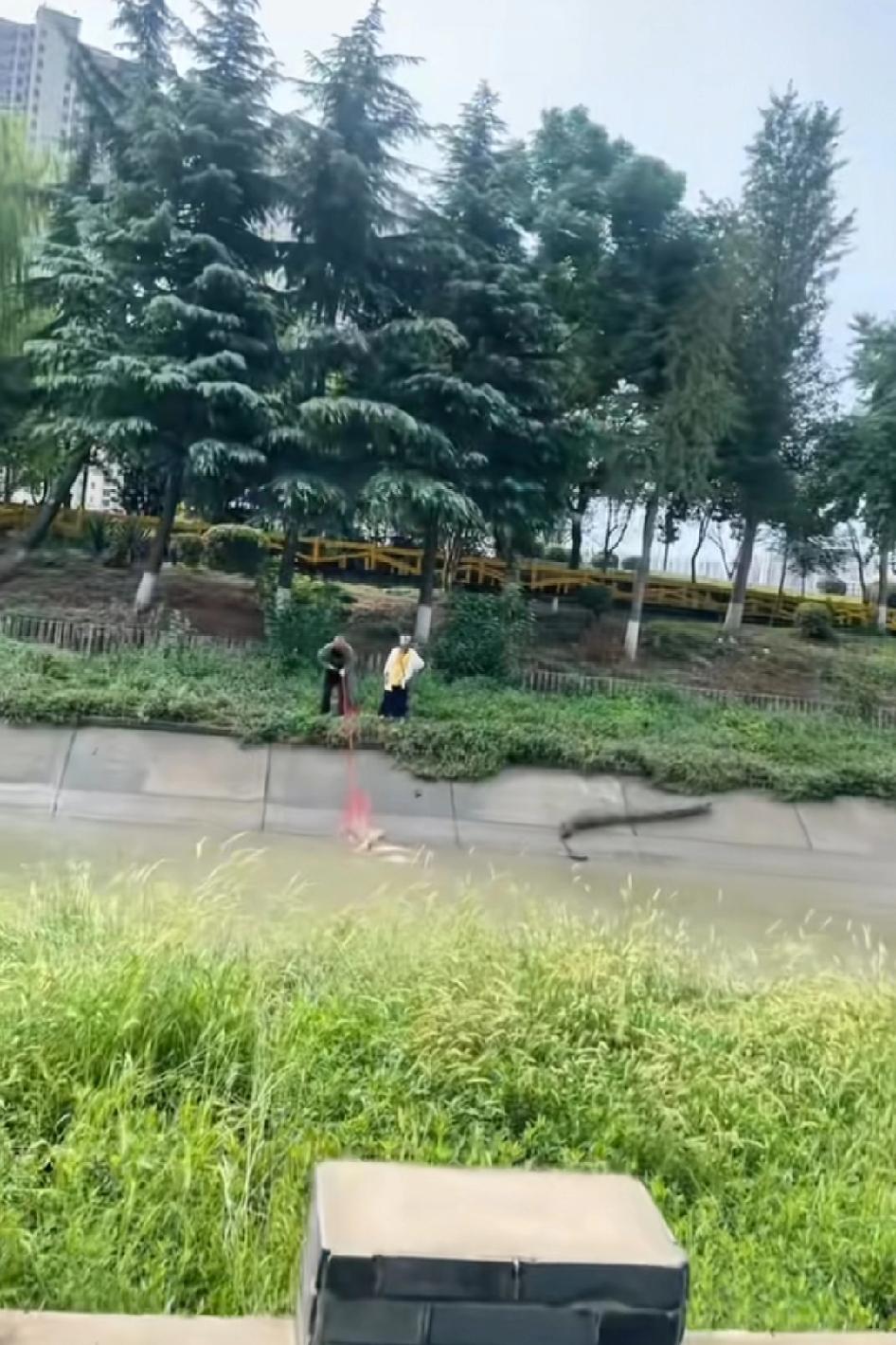 全网最厉害的吧，江苏资源这么好，明天一个步兵师的网鱼钓鱼佬到场平时里面都没水，