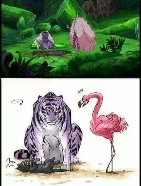 海贼王海贼王猫猫委屈​​​