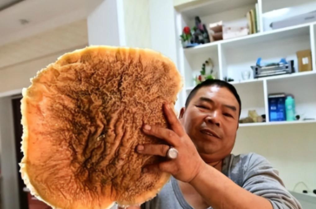 [点赞]2018年，新疆一男子捡到了一块6.55公斤“黑太岁”，有人愿意出85