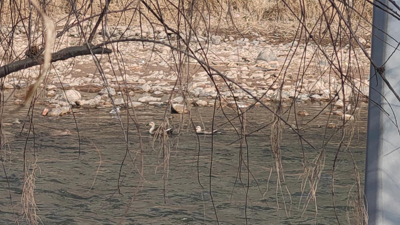 今年春节，青海西宁的天气简直太给力了！天空湛蓝得像被洗过一样，大太阳明晃晃的，温