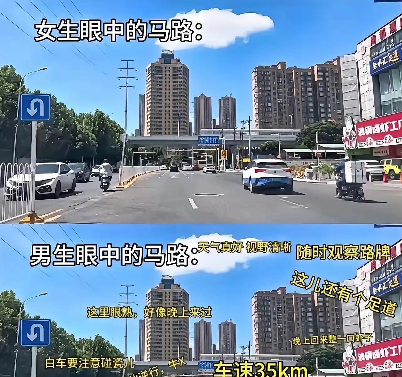 在网上看到一幅男女开车视野对比图，对于这样的一幅图，我不是很认同，觉得夸张了，特