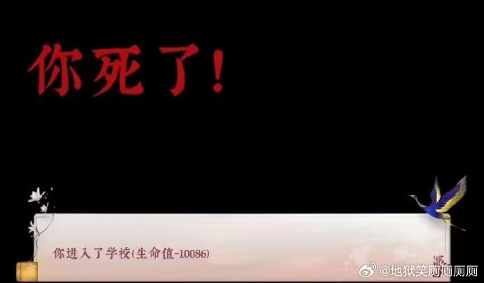 4266我每天上学belike：