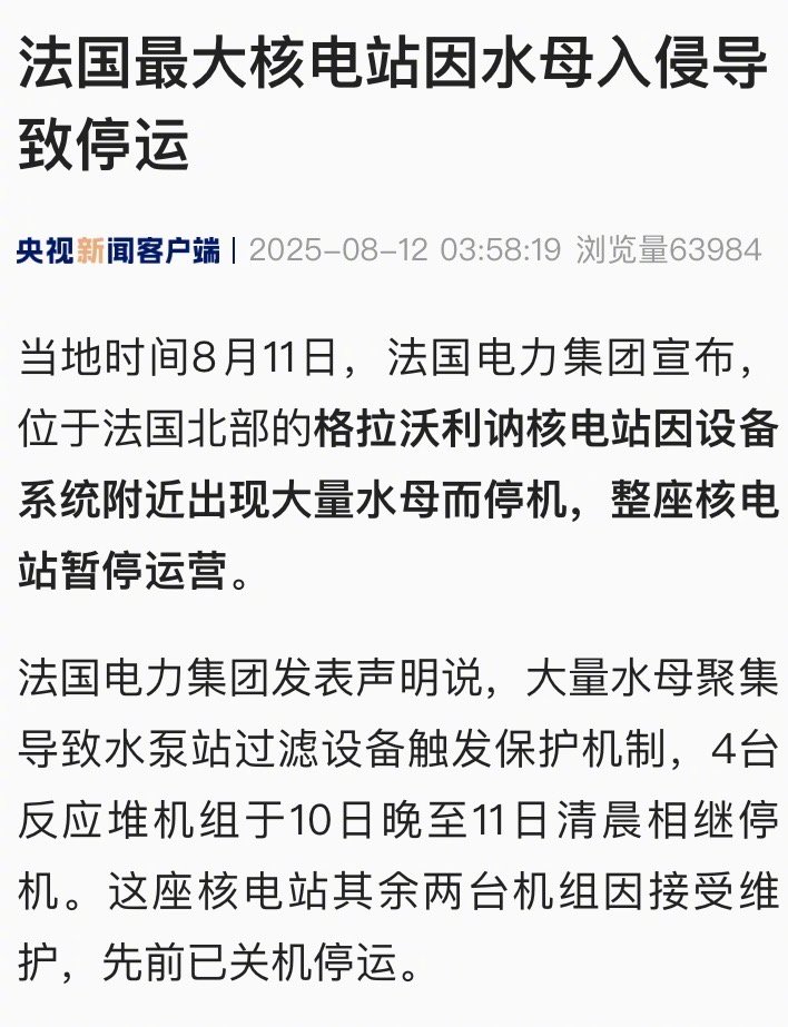 【法国最大核电站因水母入侵导致停运】#水母入侵法国最大核电站停运#当地时间8月