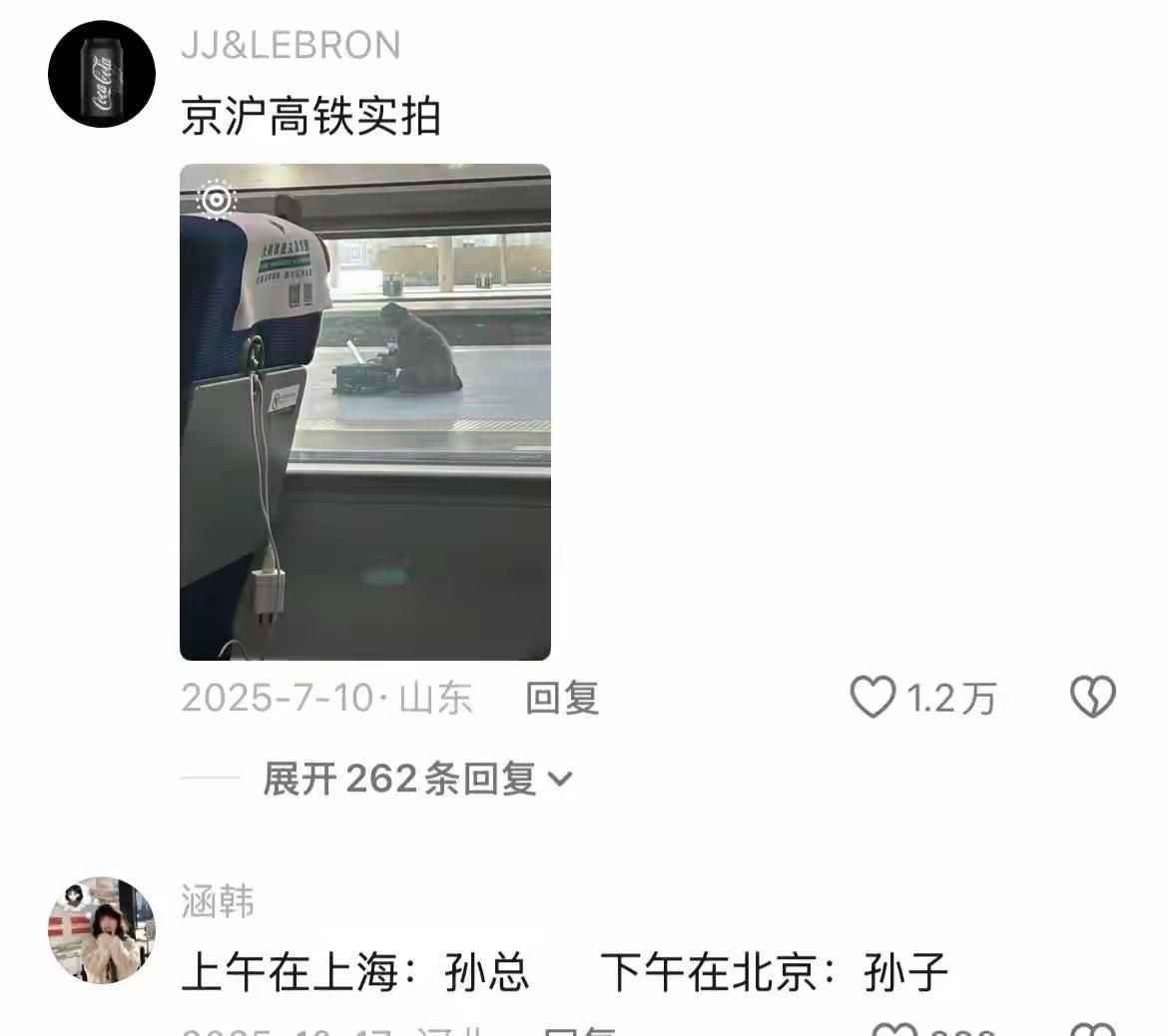 难怪孟母要三迁🤣牛马传送带给驴吓坏了