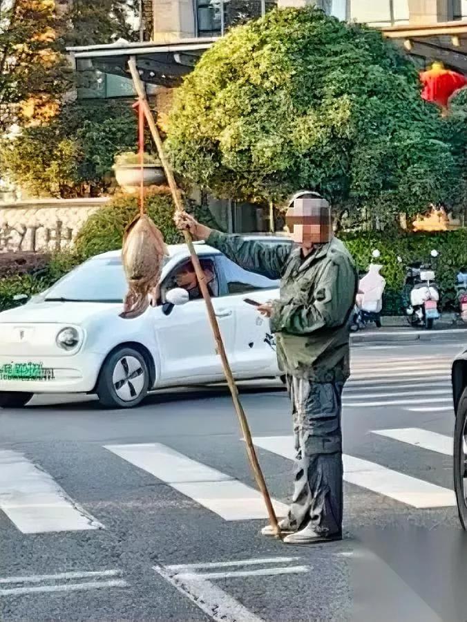 路边卖大王八的人问价总说不卖我蹲了两天才搞懂，这伙人根本不是真来卖野味的