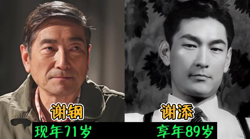娱乐圈中明星父子谢钢和谢添观众们一看谢钢，老觉得他和个叫谢添的长得挺像，实际上