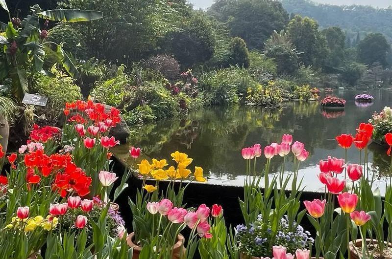 焦虑症不知不觉消失了——不和任何人较劲焦虑恢复期我选择不和任何人较劲，我