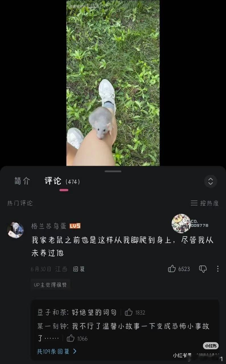 一早在群里看到的，一下就变成恐怖小故事了……