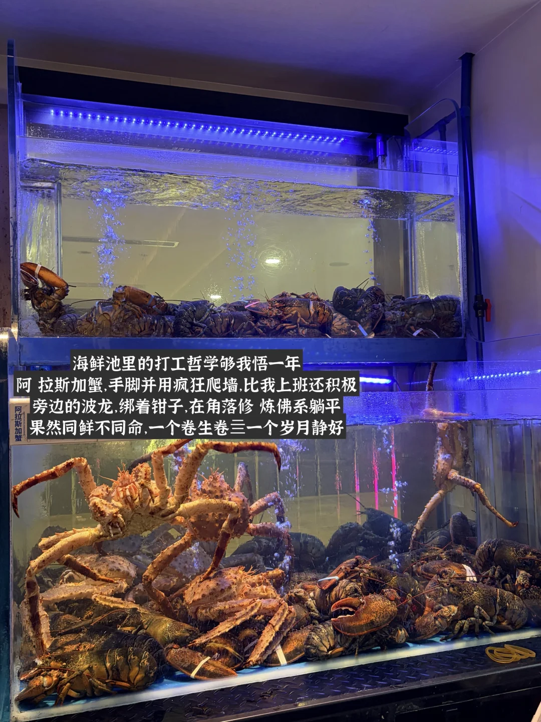 在广州，🐷城平靓正粤菜