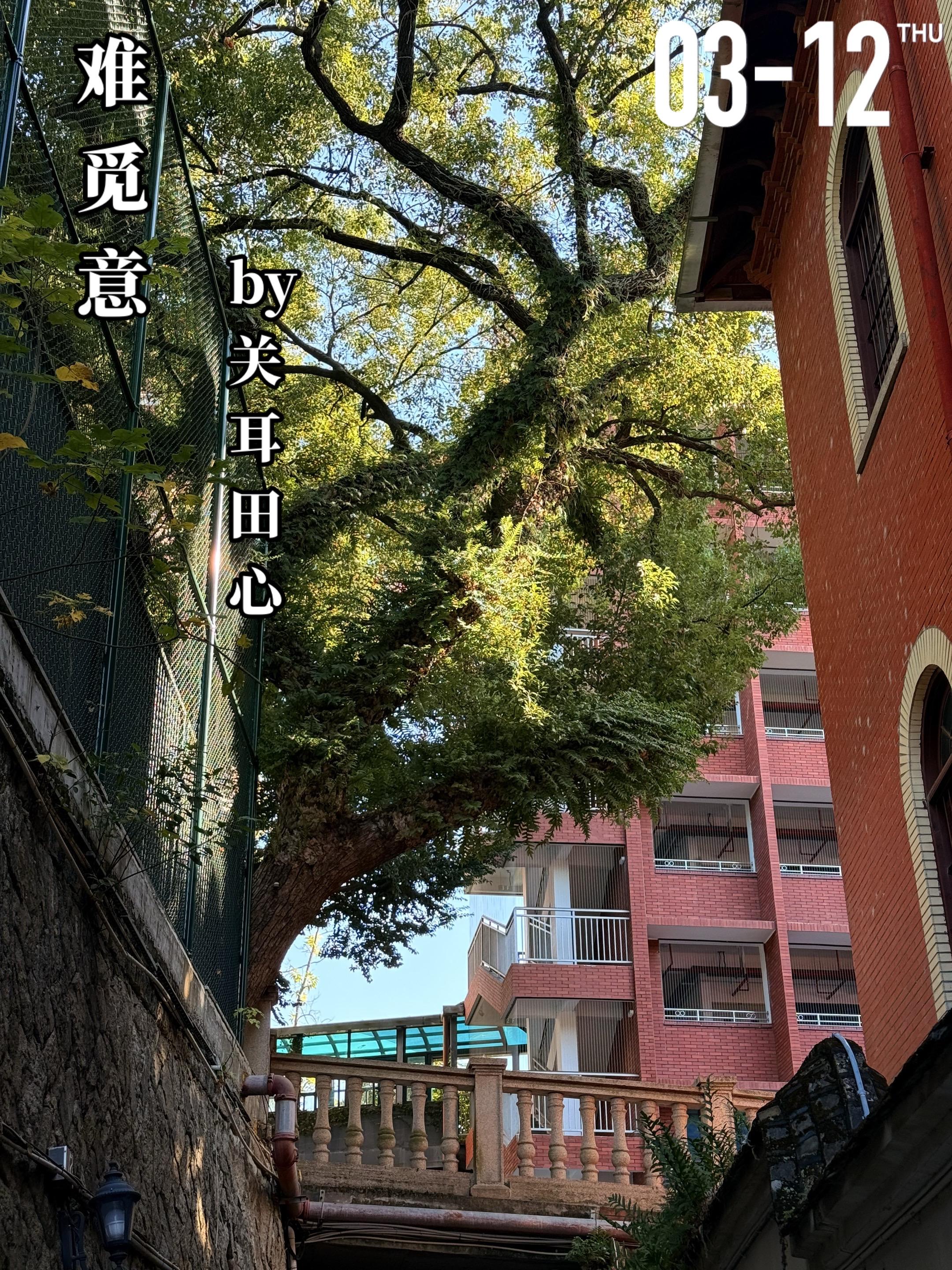 《难觅意》by关耳田心。凌意（女主）与程宗叶（男主）是高中同学，学生时...