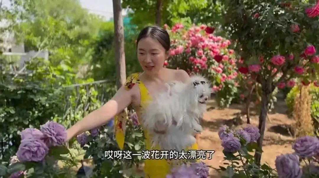 44岁霍思燕晒京郊花园，每天亲自打理，抱七万宠物狗逛花园好贵气，有爱丽丝梦游仙境