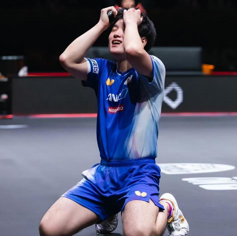 张本智和怎么这么喜欢下跪庆祝，输了跪，赢了也跪，真是看不懂总决赛男单1/4决