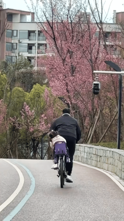 果然是父爱如山地动山摇