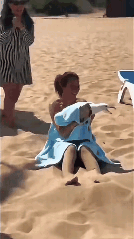 好家伙，守株待兔是吧[狗头]