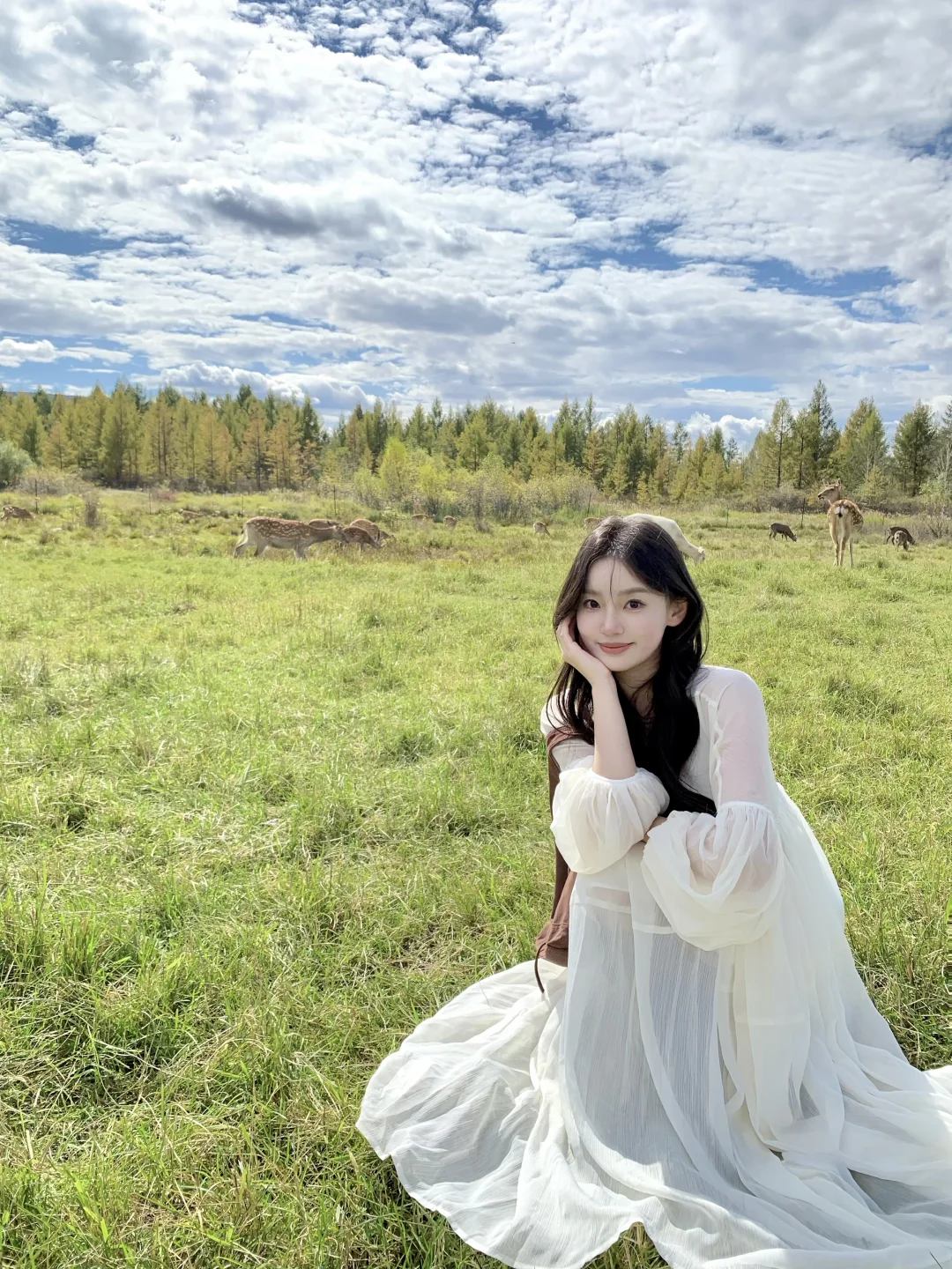 🫎来草原看luckin了