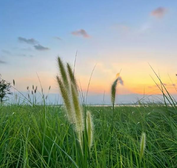 退休后，一定要“8舍得”！这话听着美好，但现实是——没钱，啥都难“舍”？都