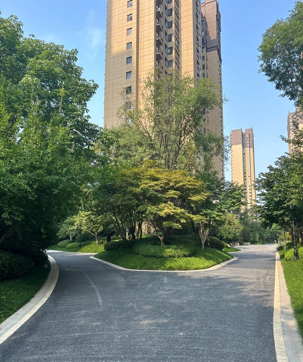 41岁的高中男同学，至今没有成家，他父母很早就把市里的房子买了，房款共计15