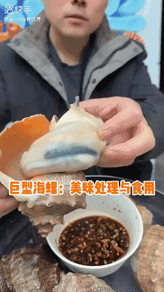 巨型海螺开箱！鲜嫩美味，但这个部位千万别吃！[哭哭]