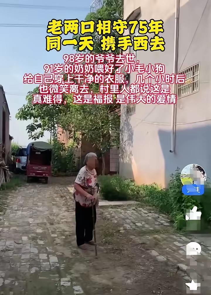 七旬夫妻同日辞世，奶奶最后喂猫狗暖哭全网98岁爷爷清晨安详离世，91岁奶奶