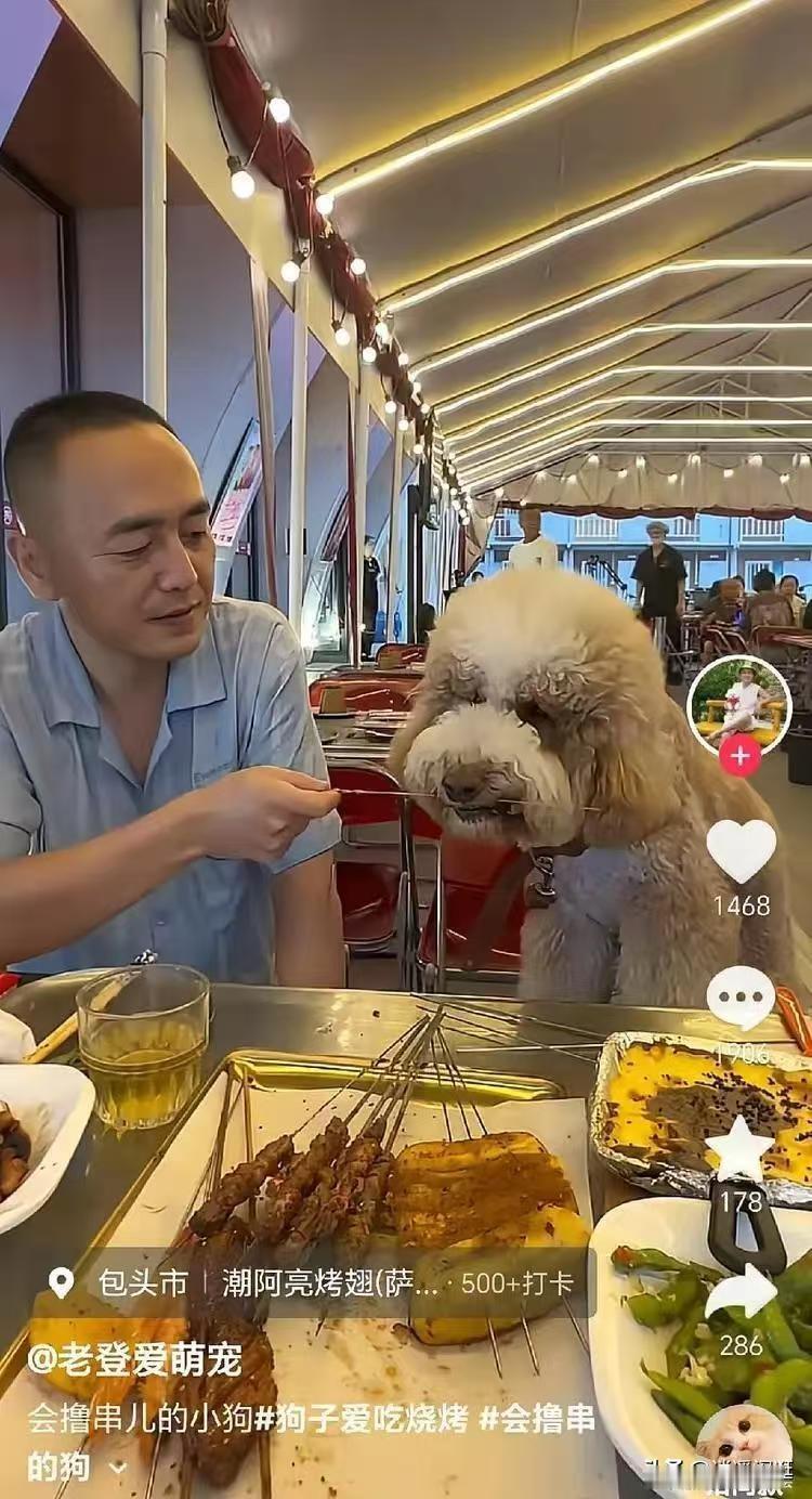 这个老登现在全国出名了，特别自豪的逆流而上，前边好几个故意在餐厅用餐具喂狗，这个