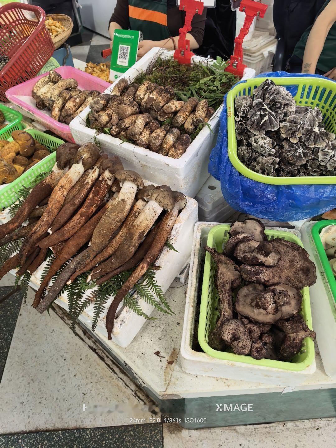 逛云南菜市场就像逛博物馆云南由于地处亚热带气候，所以植物的种类是非常丰富的，因