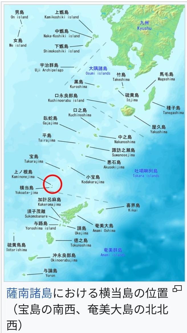 礼尚往来，你来一艘军舰，我去一支驱护编队。4月19日，海军组织133号舰艇编队