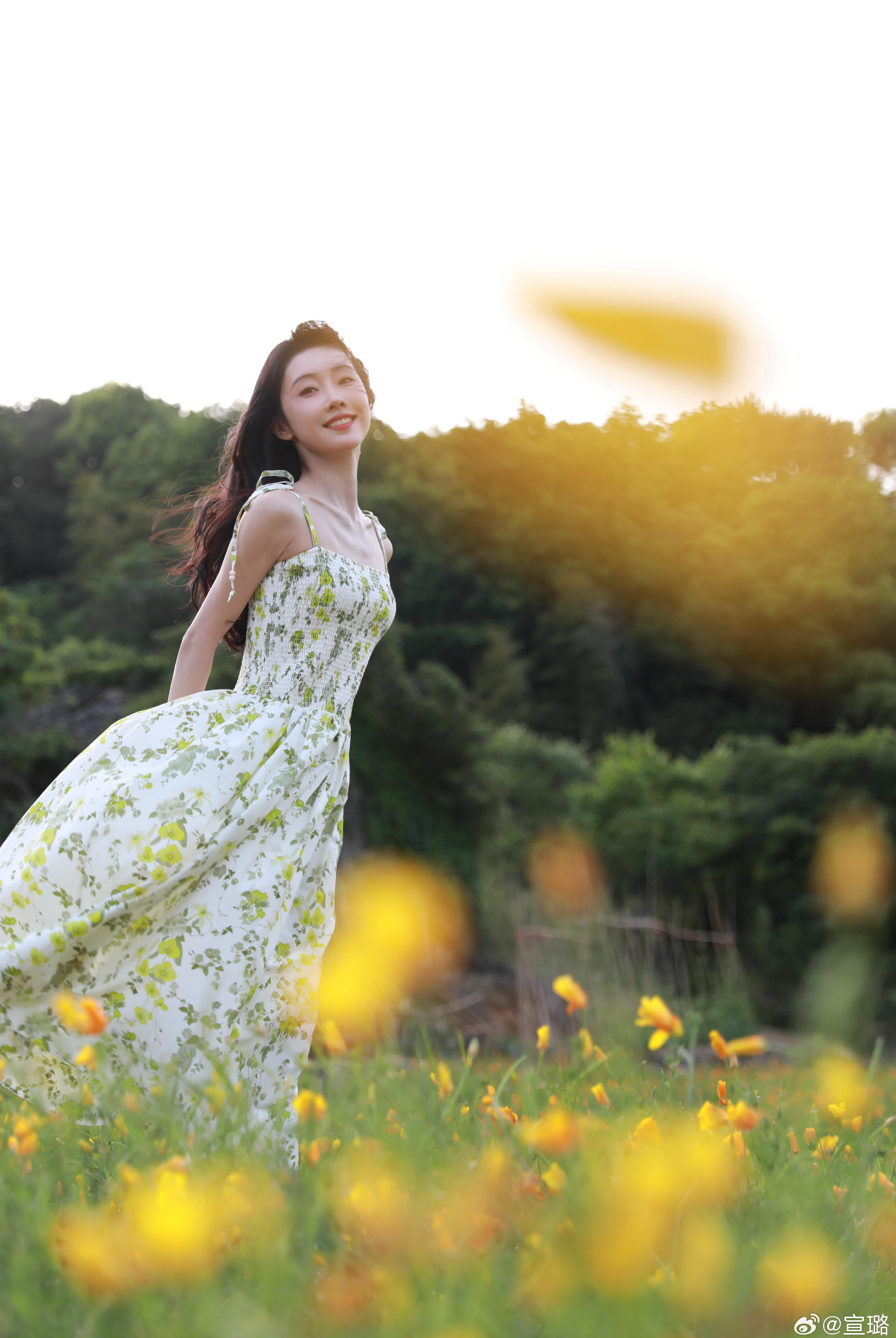 那就做野花，随风起，永不散。自在摇曳，生生不息。🌼🌼🌼
