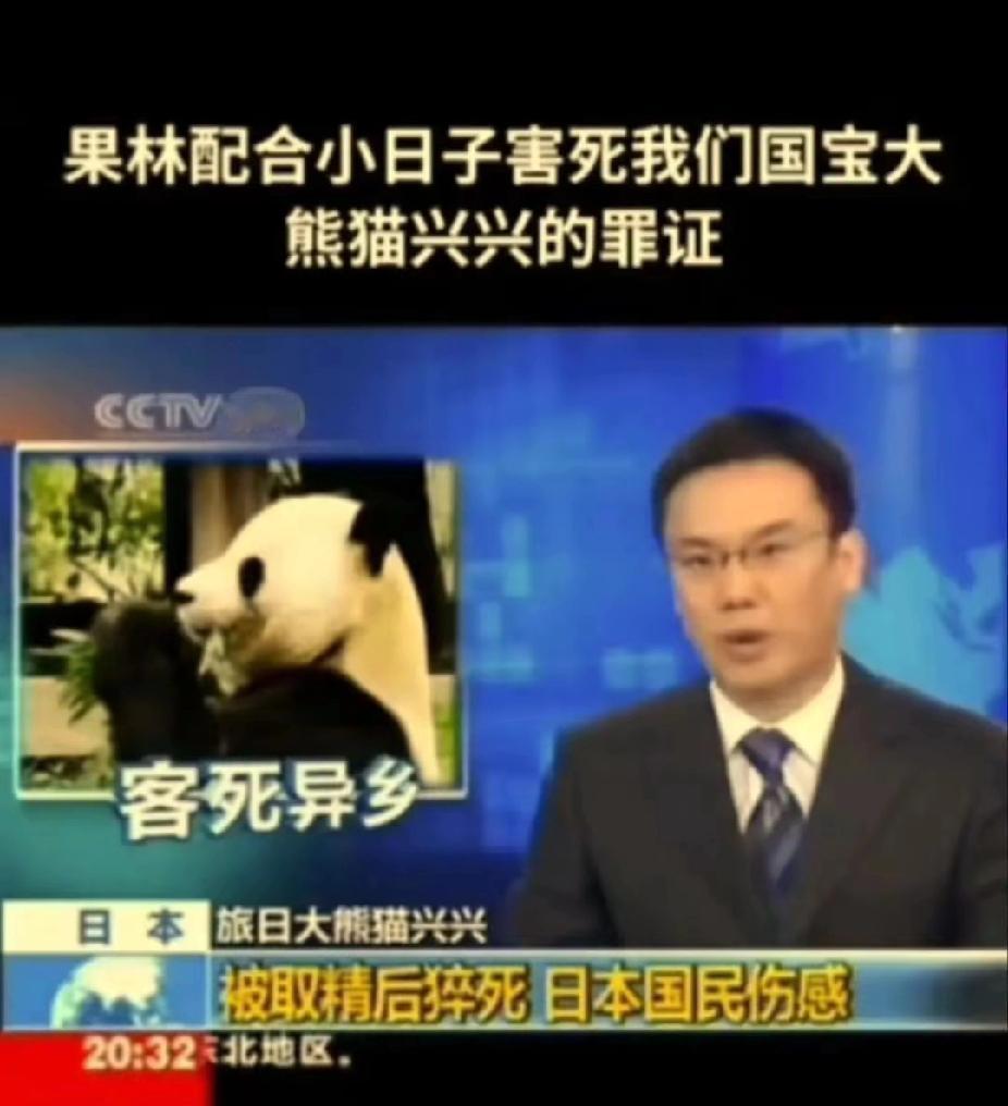 国宝大熊猫在日本采精而死亡，在德国喝酒猝死，最心酸的在美国！身为中国的“国