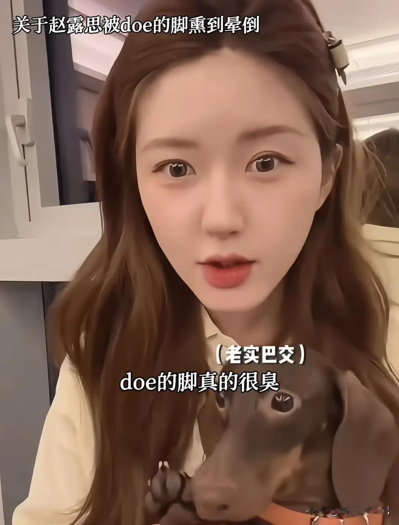 赵露思抓起自家狗的臭脚，凑到鼻子前猛吸一口，结果被熏晕，好搞笑哈哈哈！露思的狗
