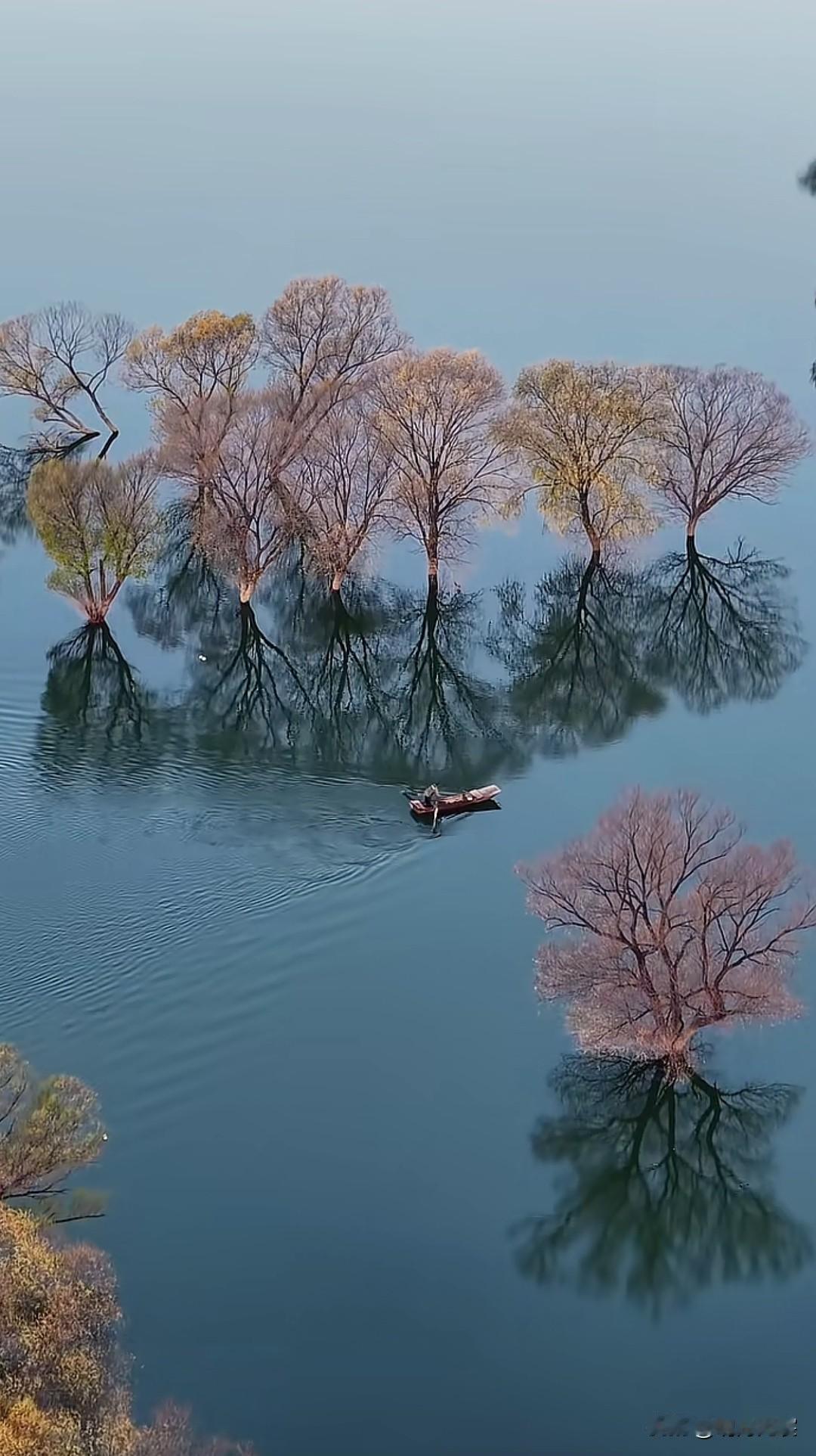 秋日湖畔，树影婆娑，小舟悠然，静谧如画。