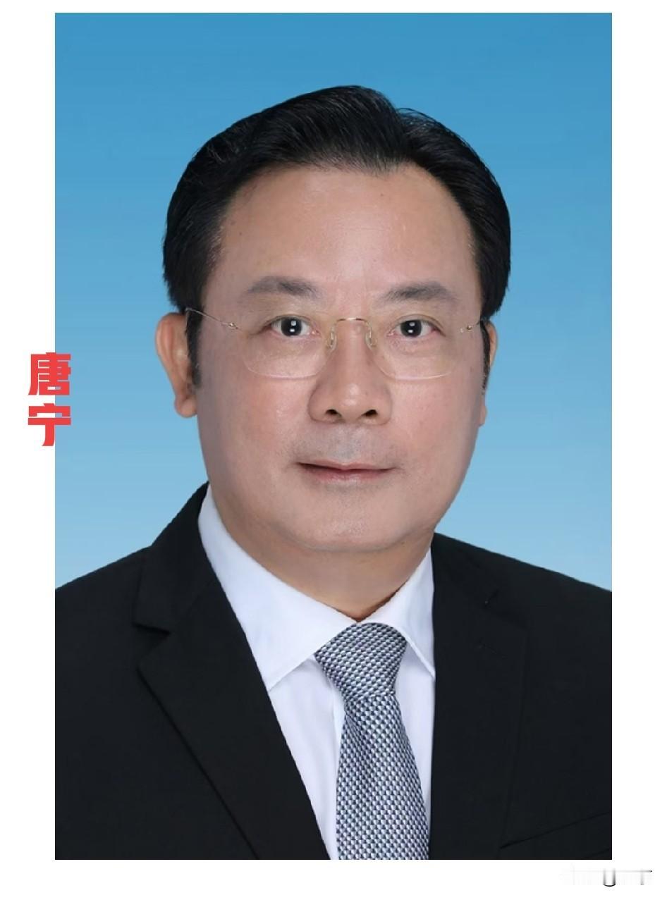 唐宁，那个在全区大会上要求廉洁招生的人，自己被查了5月31日17时，中央纪