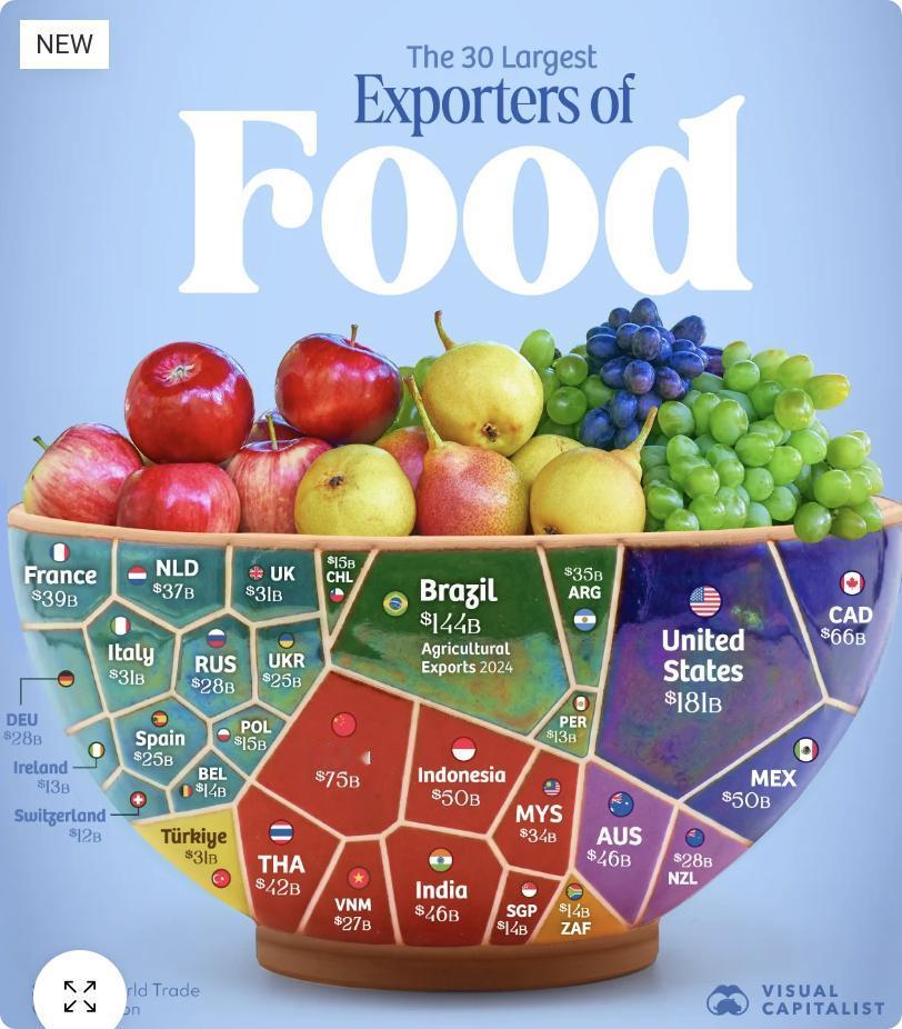 外媒：全球粮食出口高度集中于少数国家。根据世界贸易组织数据，美国以约1,80