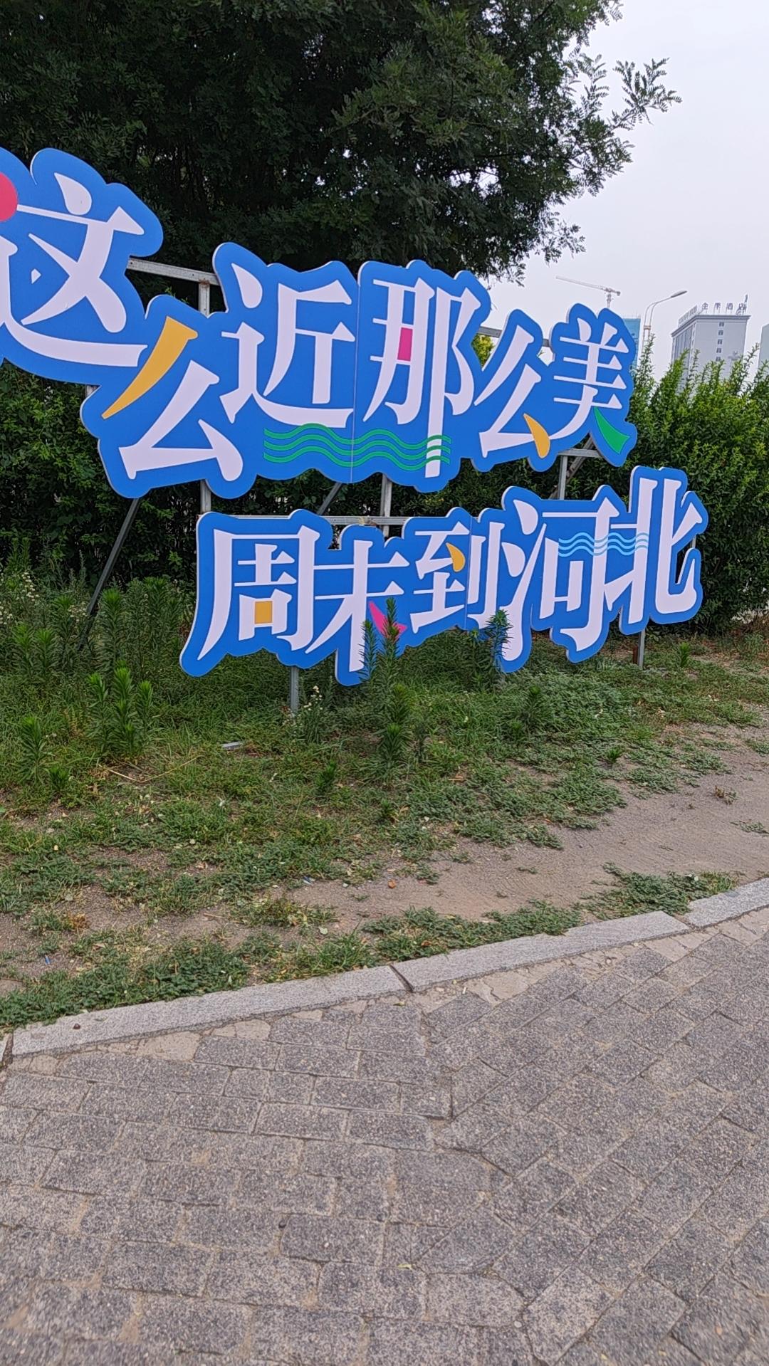 朋友的儿子，第一次去女方家拜访，带的礼物着实用了心。结果，却因为一箱西湖龙井坏了
