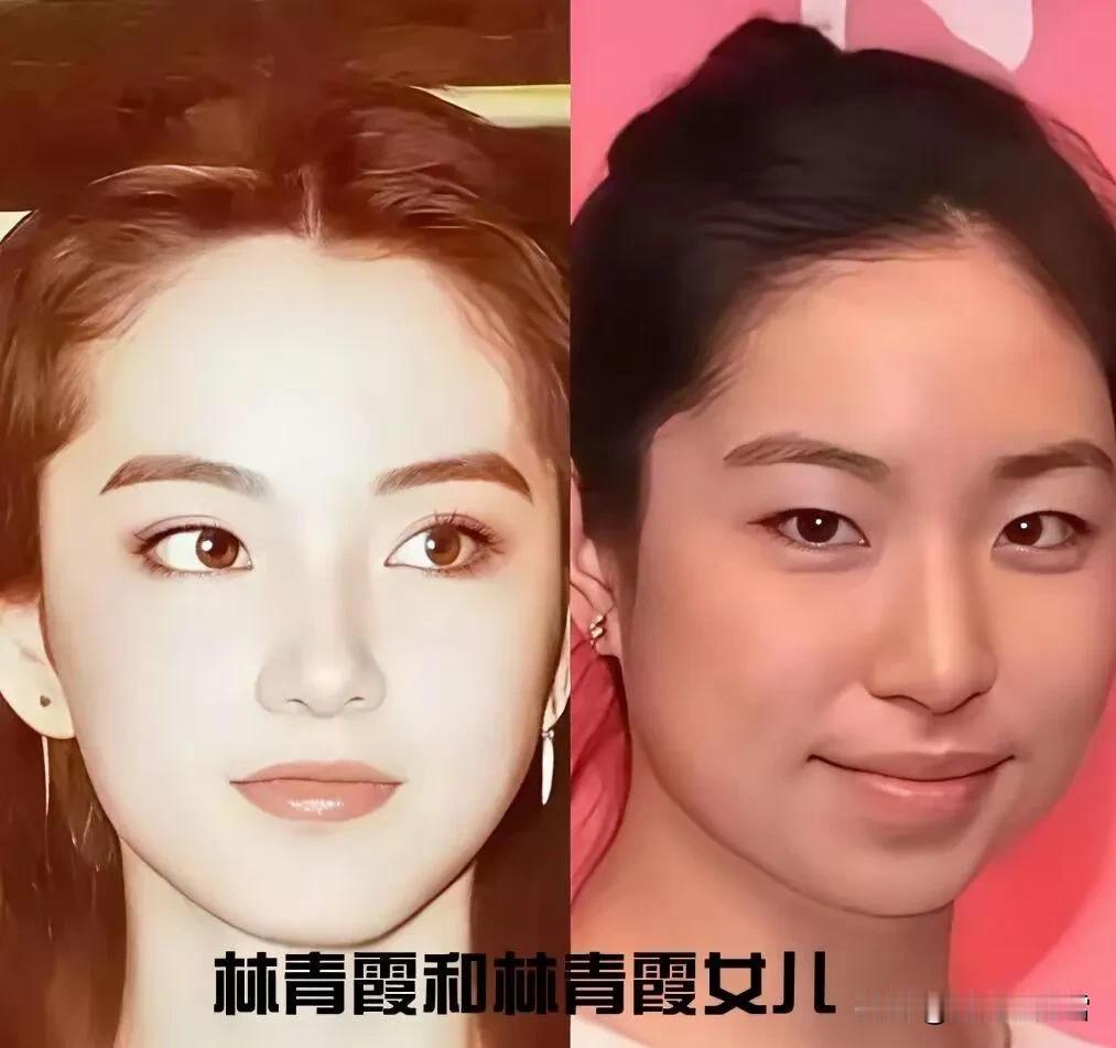 林青霞和女儿。白瞎了半个世纪才有的极品美女的基因了。林青霞如果生个儿子，