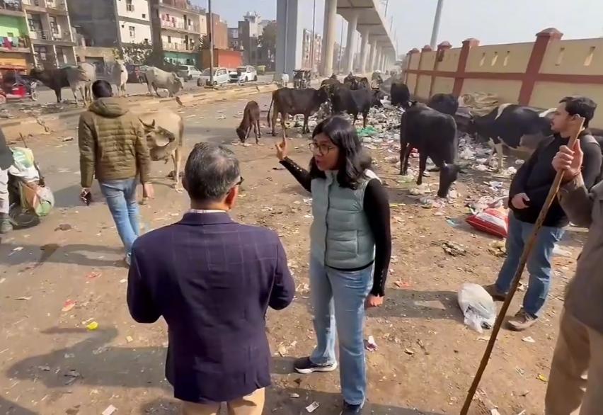 印度某城市高架桥下，一位女官员对现场糟糕的卫生状况愤怒不已，责令当地官员立刻进行