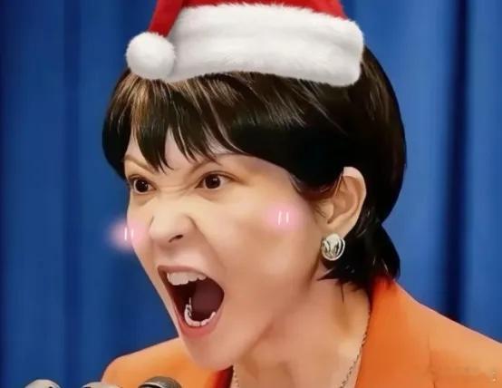 快报！快报日本突然宣布了 12月25日，日本航空自卫队新田原基地被曝出大问题。基