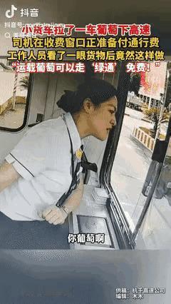 “浙江高速又火了！”杭州的某个普通清晨，本应平静如水，却因为一车葡萄引发了热议。