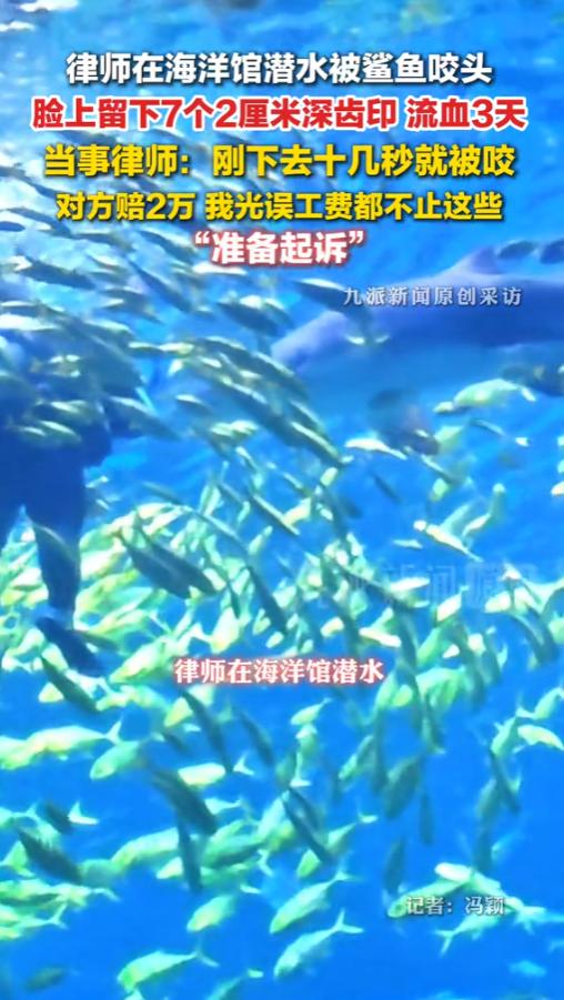 “这不是要人命嘛！”6月15日报道，湖南长沙，一位律师在海洋馆体验潜水。下水才十