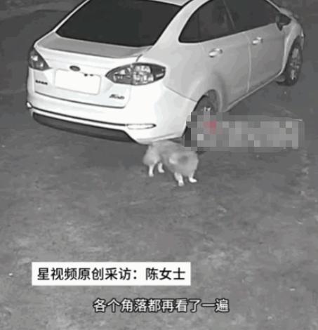生灵皆有温情！湖南湘潭，一位女子下班归家，推门的瞬间就心头一沉，陪伴自己整整十六