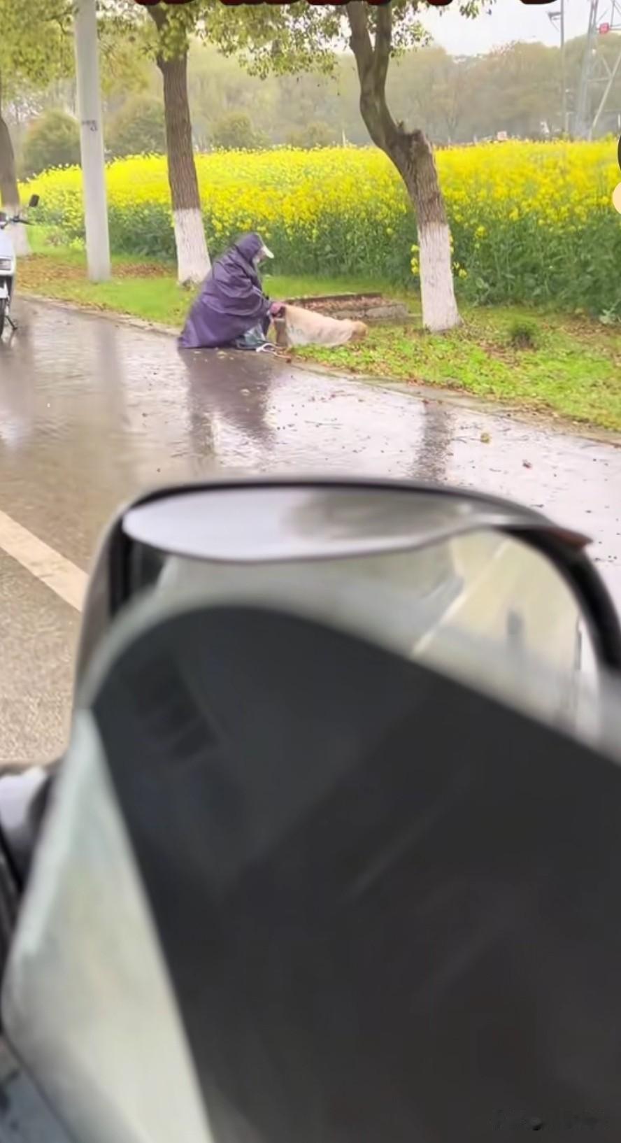 身着雨衣，跨上电动车，用蛇皮袋装上三只小奶狗，骑车来到空旷的油菜花田外，把装在蛇