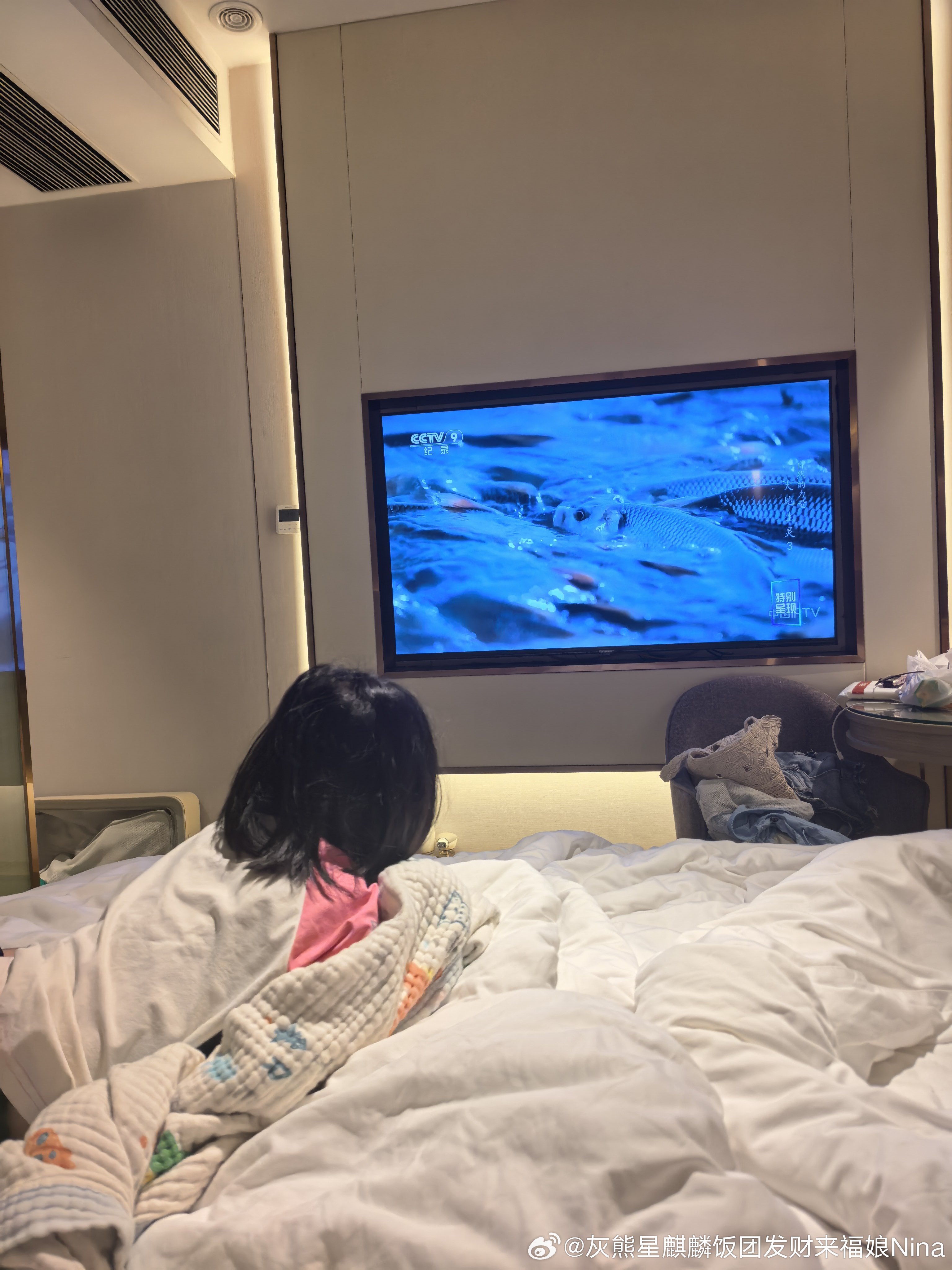 团团不能理解，为什么她错过一个镜头这电视就不能回放了妮娜一家饭团团成长记
