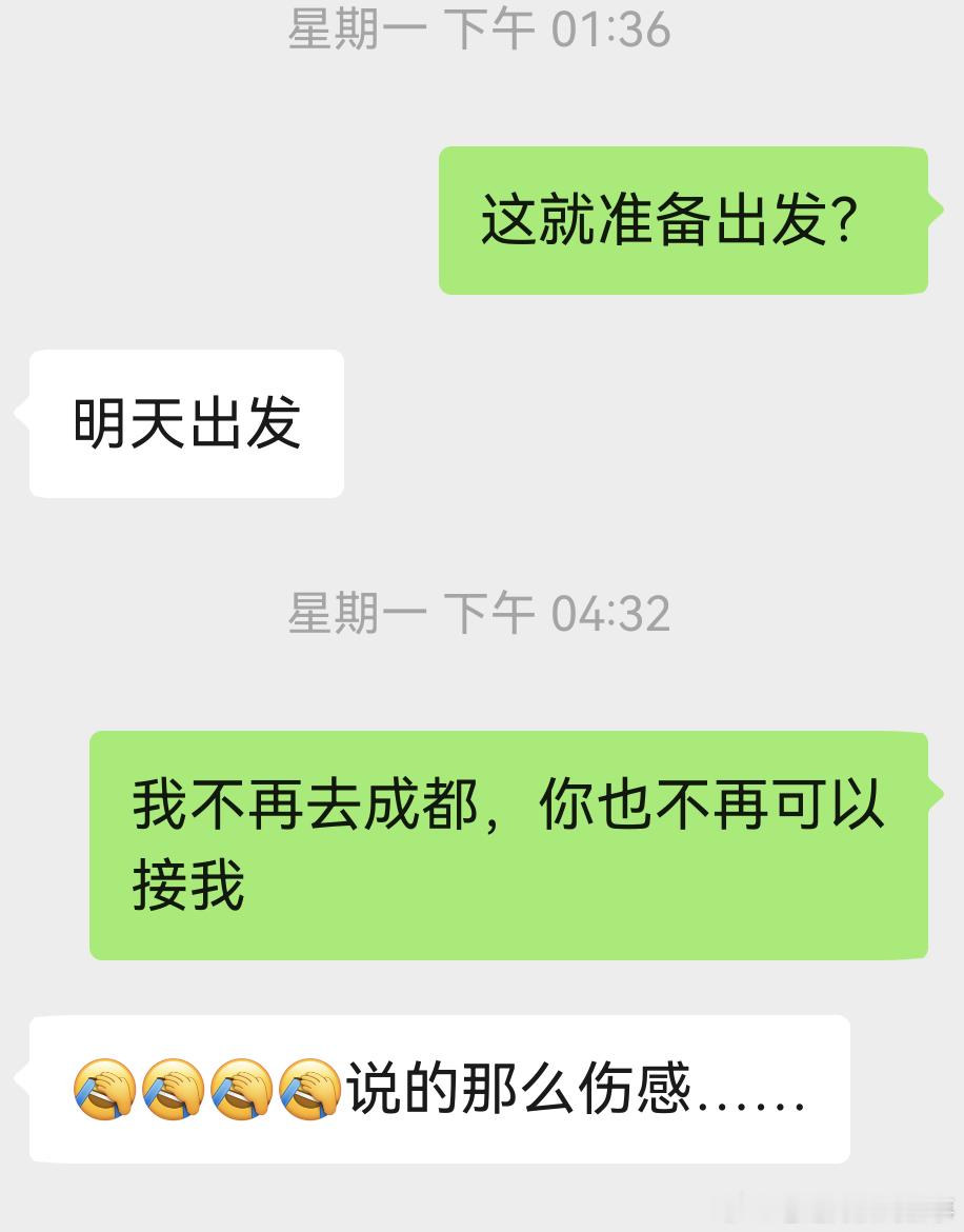 最后一次去成都时落地天府，网约车是秀气的n7，主人是一个女孩儿，戴着帽子和口罩，