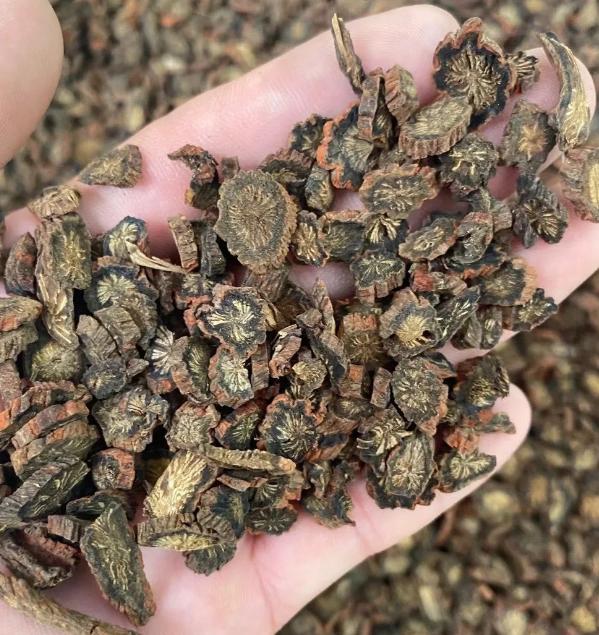 阳痿早泄问题无论3年5年还是10年，一定牢牢记住2味药！我是中医教授陈玉