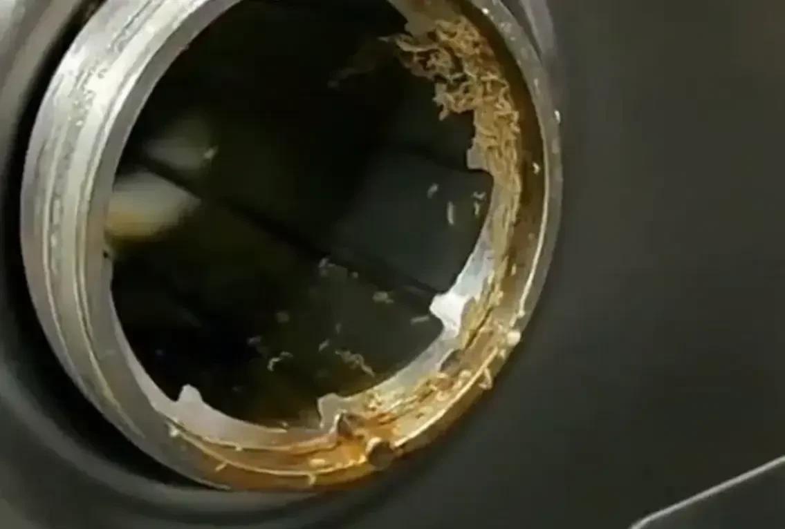 对于近日曝光的，浙江余姚某小学食堂机器出现大量虫子事件，我不知道大家持什么态度。