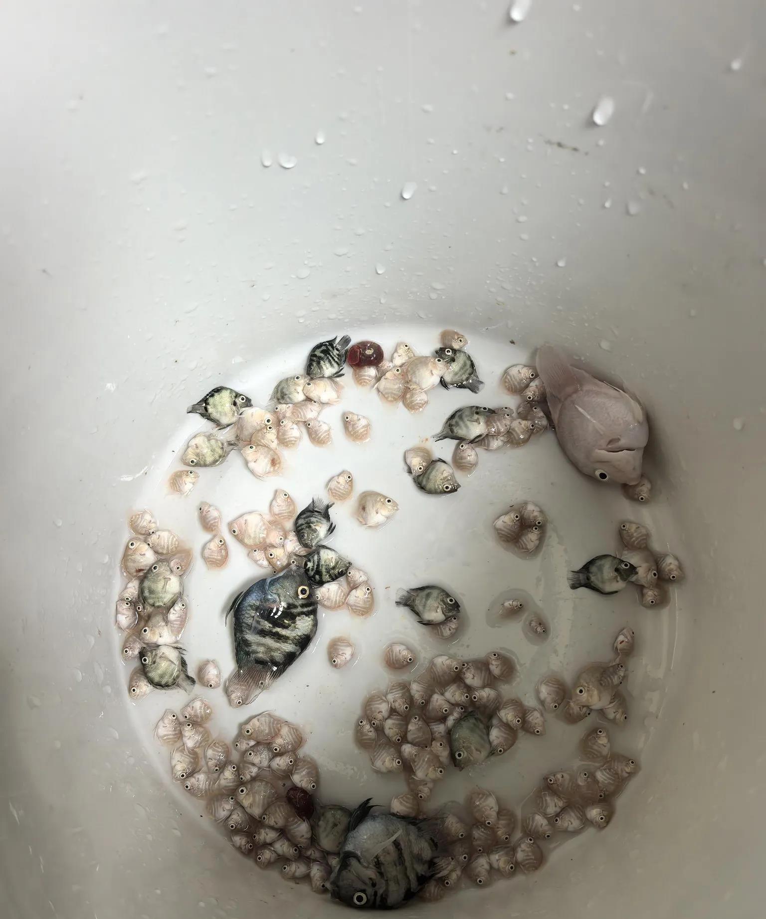 大家换完水一定要记得开水泵