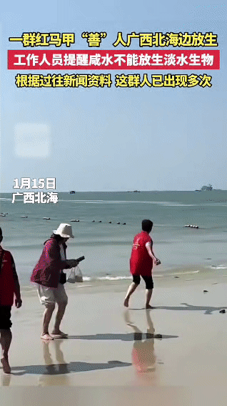 红马甲“放生”变“杀生”，无知的善举比恶意更伤人。一群印着“善”字的红马甲队