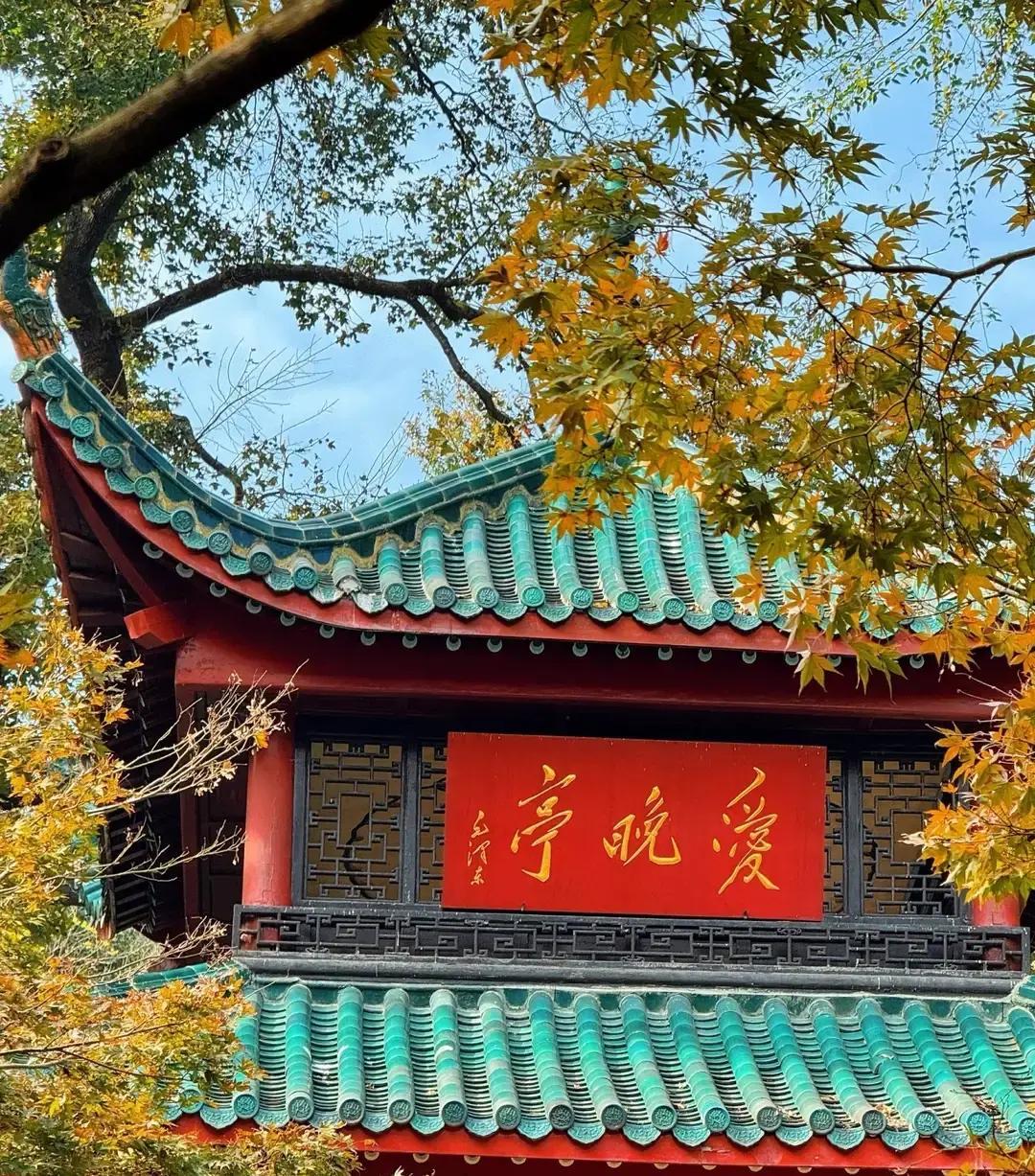 长沙35岁女士发帖吐槽老公每周跑武汉陪前妻过夜。三年前相亲认识，他二婚带娃，