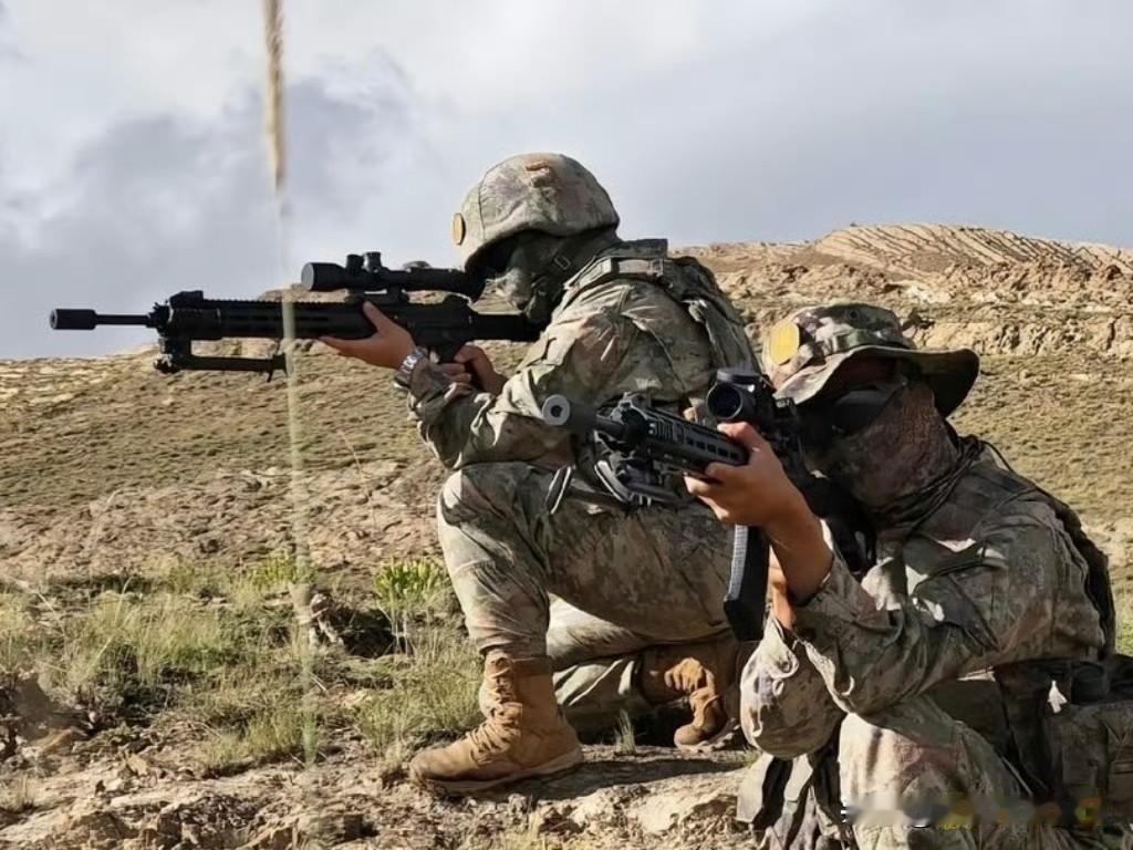 国产精确射手步枪